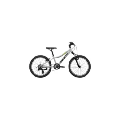Bicicleta Giant XTC JR 20