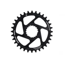 Plato Leonardi Gecko Capo Hollowgram FSI C2