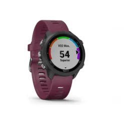 GPS Garmin Forerunner 245